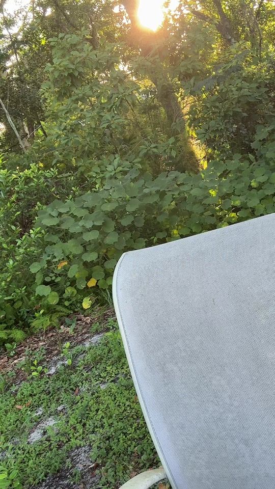 TikTok video thumbnail by 00__nilla__00