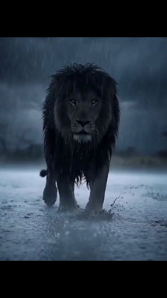TikTok video thumbnail by lionmind17