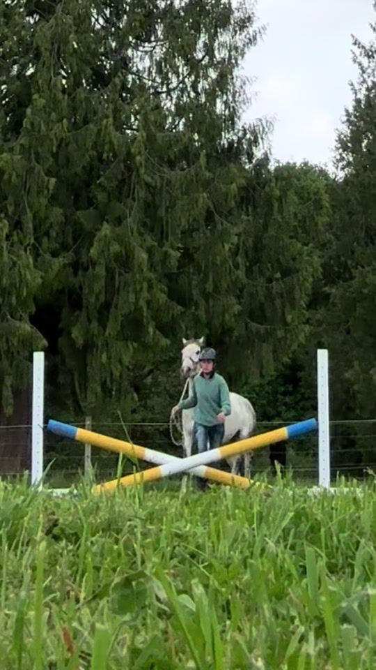 TikTok video thumbnail by bluestarequestrian