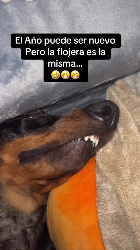 TikTok video thumbnail by ice.boy.20