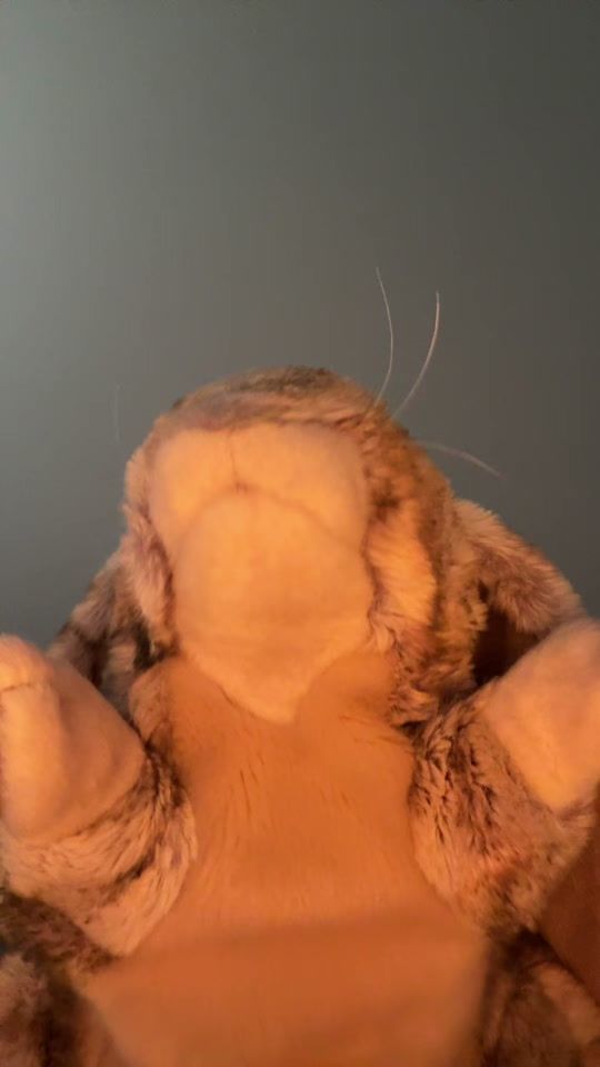 TikTok video thumbnail by squeaksgoneviral