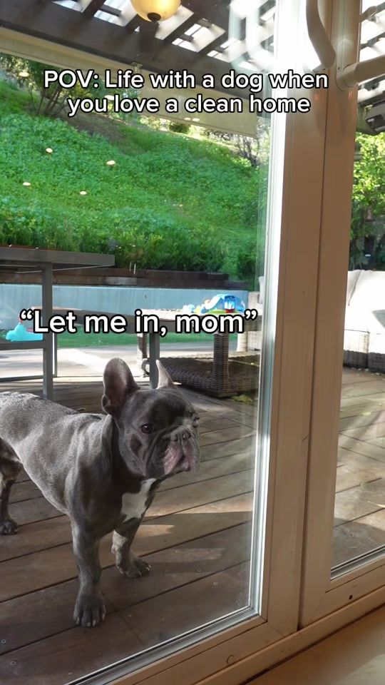 TikTok video thumbnail by marvellen