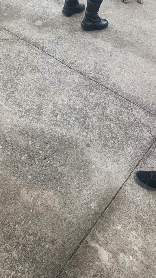 TikTok video thumbnail by blizzo2.0__