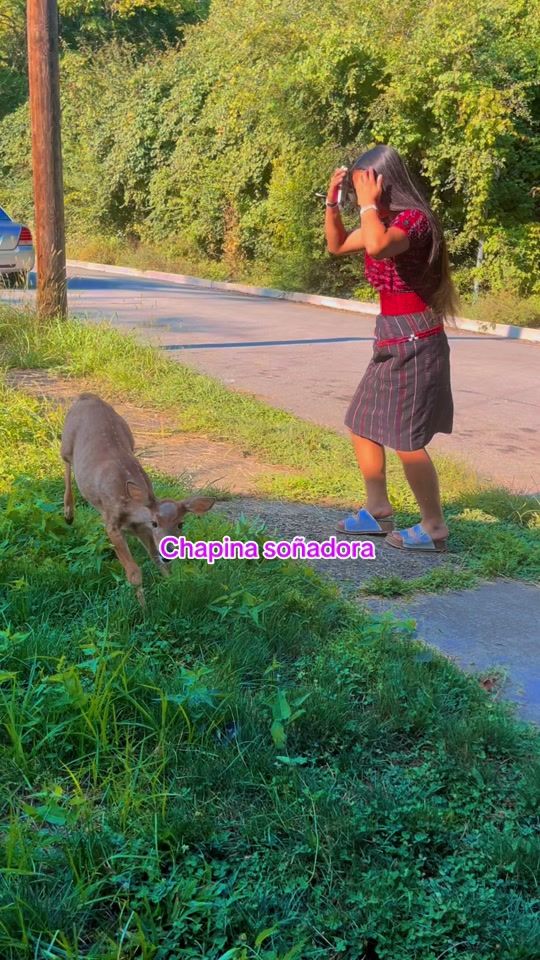 TikTok video thumbnail by chapinasonadora