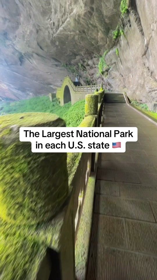 TikTok video thumbnail by globalranker