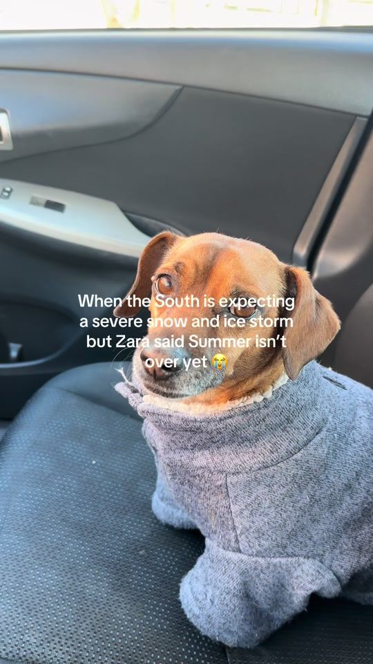 TikTok video thumbnail by sunsetrojo