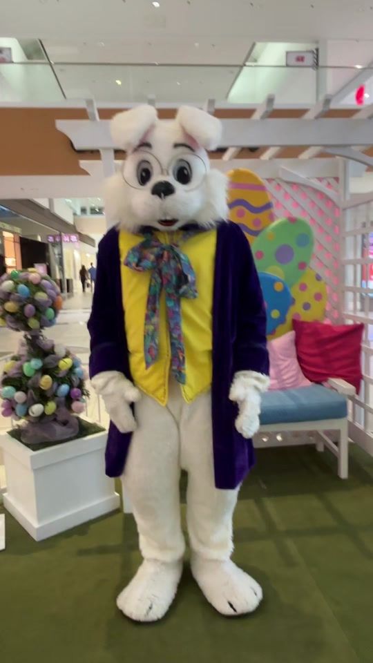 TikTok video thumbnail by riversidemall.bunny