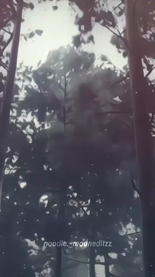 TikTok video thumbnail by noodle._mooneditzz