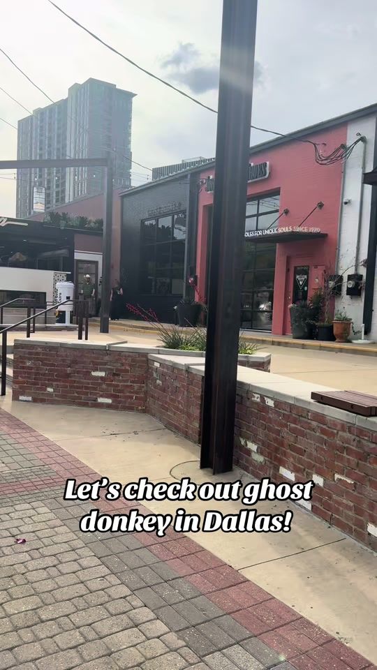 TikTok video thumbnail by angelicp06