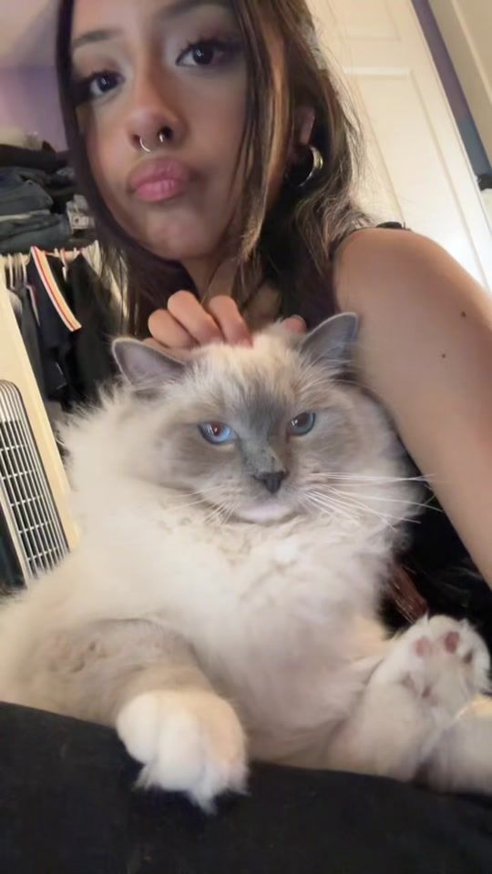 TikTok video thumbnail by radioffriendly