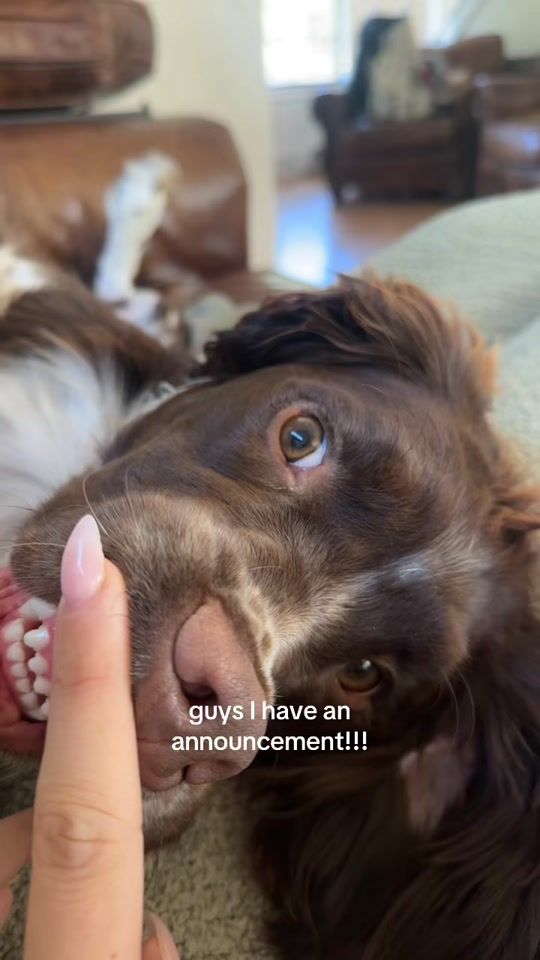 TikTok video thumbnail by dayzerday