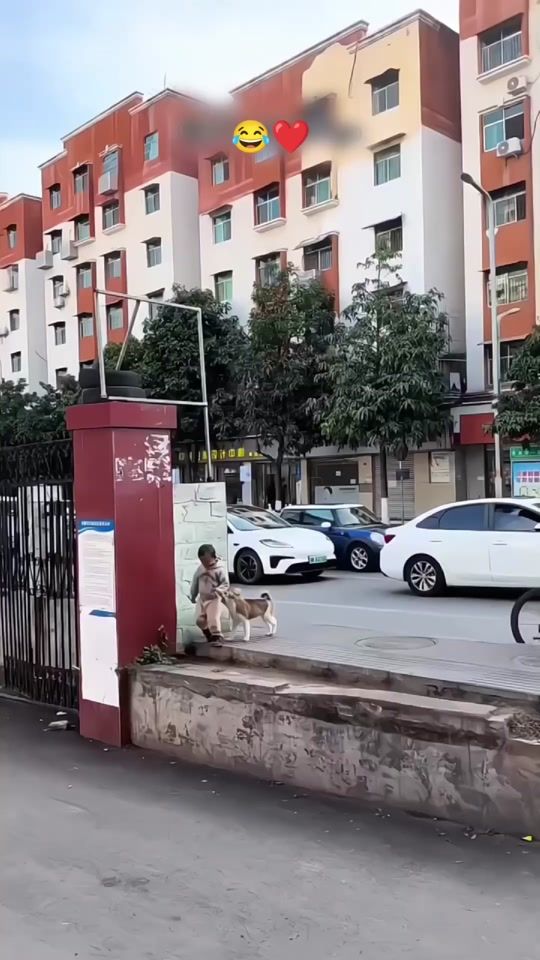 TikTok video thumbnail by zoyaedite01