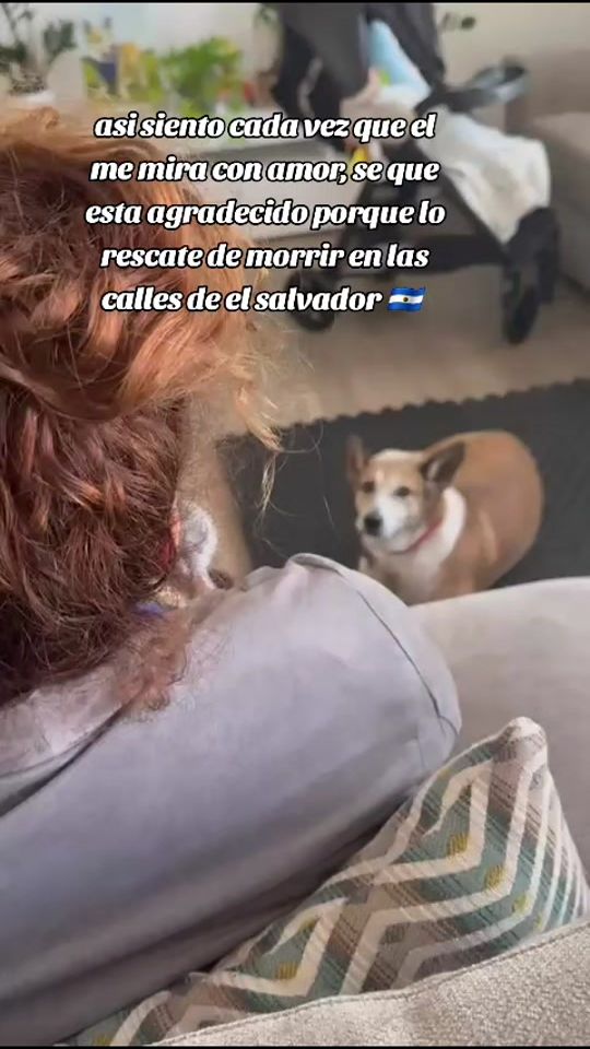 TikTok video thumbnail by brisysuperro