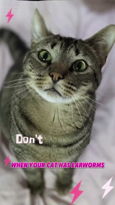 TikTok video thumbnail by sugabearthekitty
