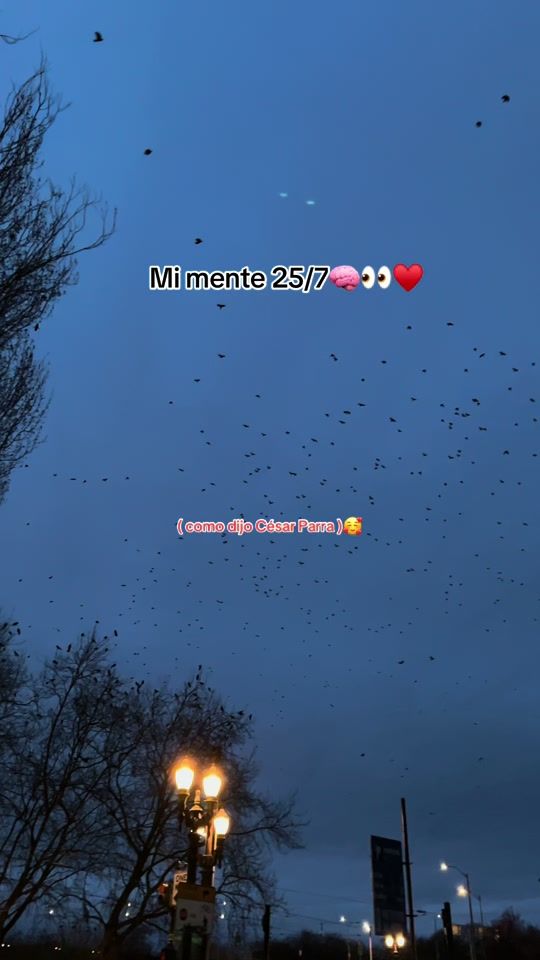 TikTok video thumbnail by auremery1