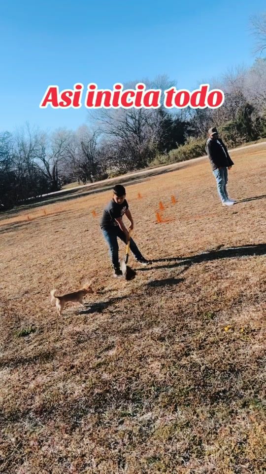 TikTok video thumbnail by isabelgomezlopez3