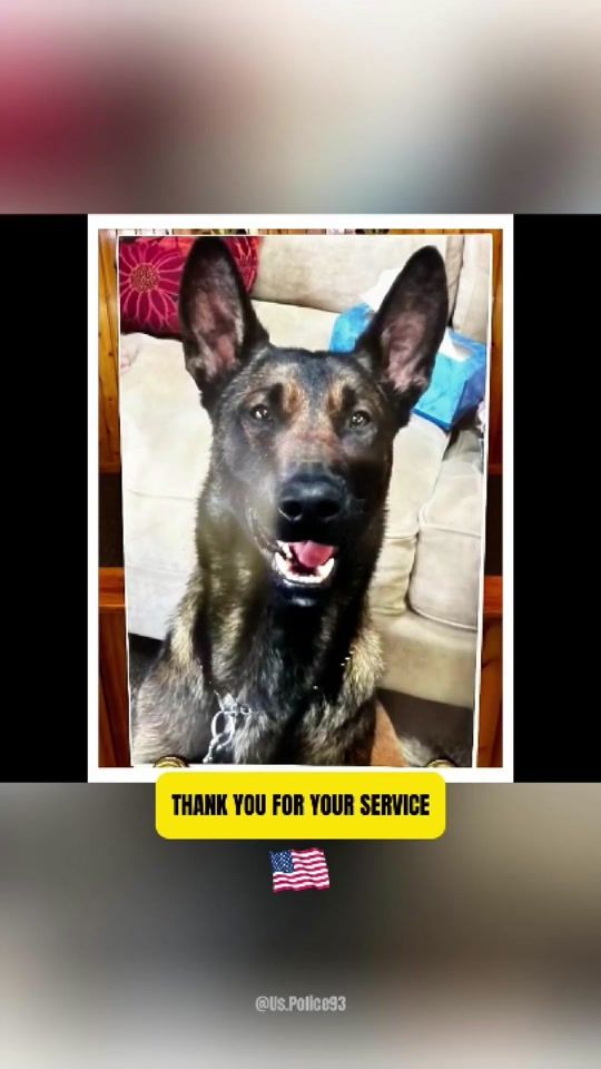 TikTok video thumbnail by us.police93