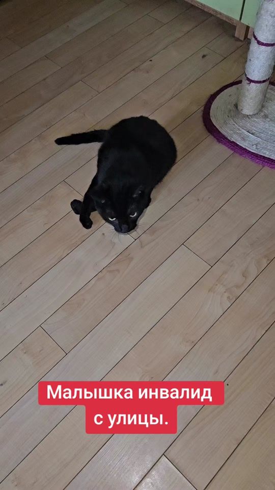 TikTok video thumbnail by user5785089726783