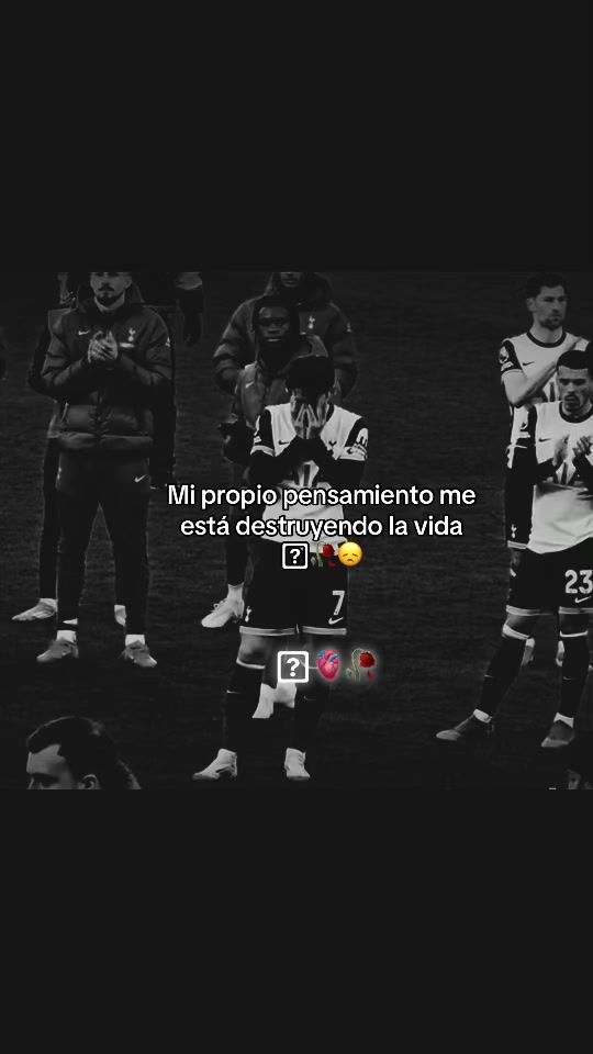 TikTok video thumbnail by emilfrases1