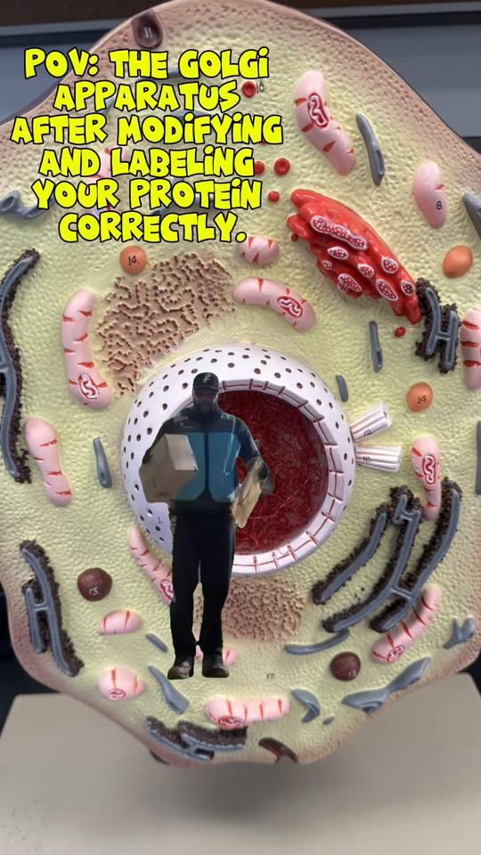 TikTok video thumbnail by drbscience