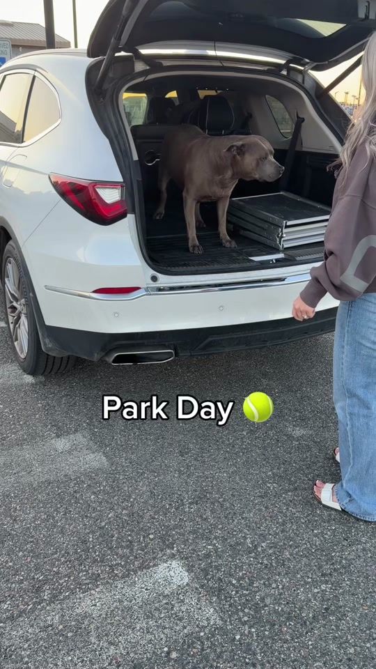 TikTok video thumbnail by ratchy.d.pit