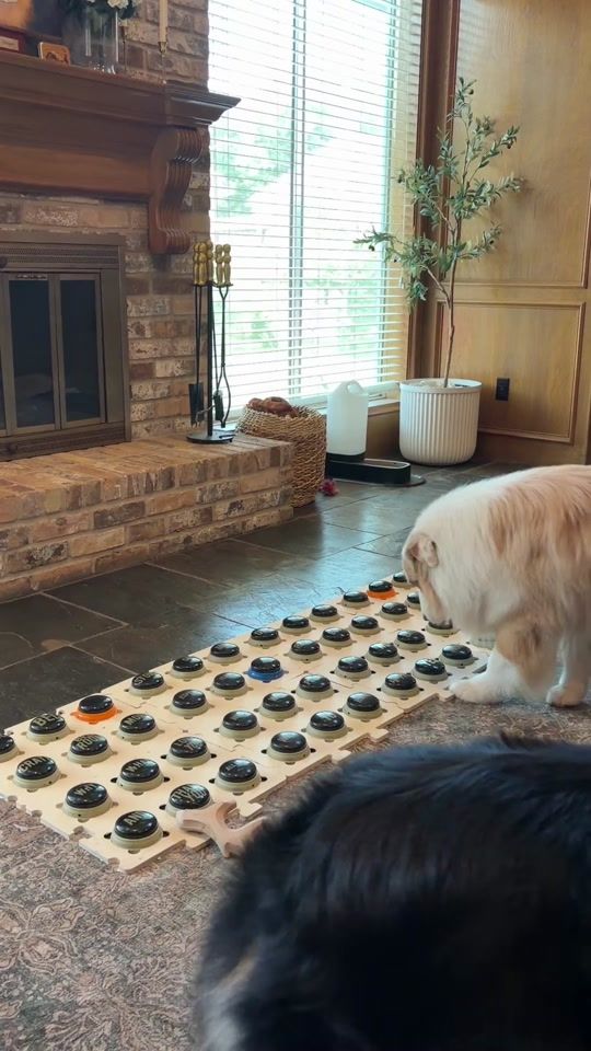 TikTok video thumbnail by flambothedog