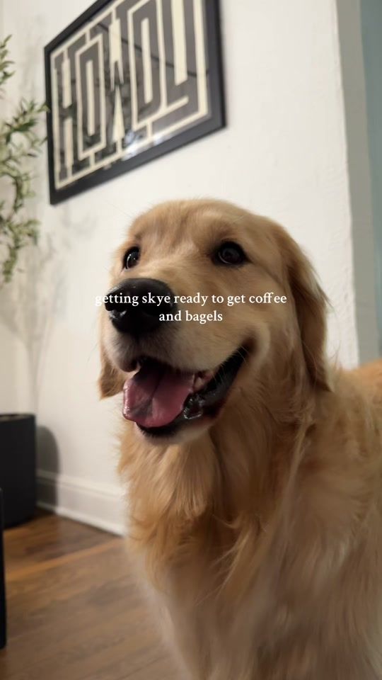 TikTok video thumbnail by mackandskye