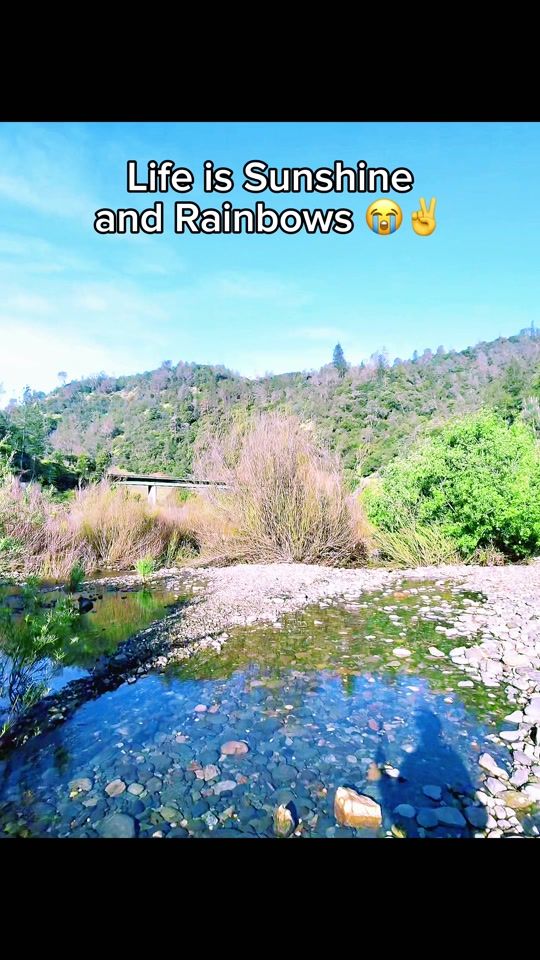 TikTok video thumbnail by minddecaycam