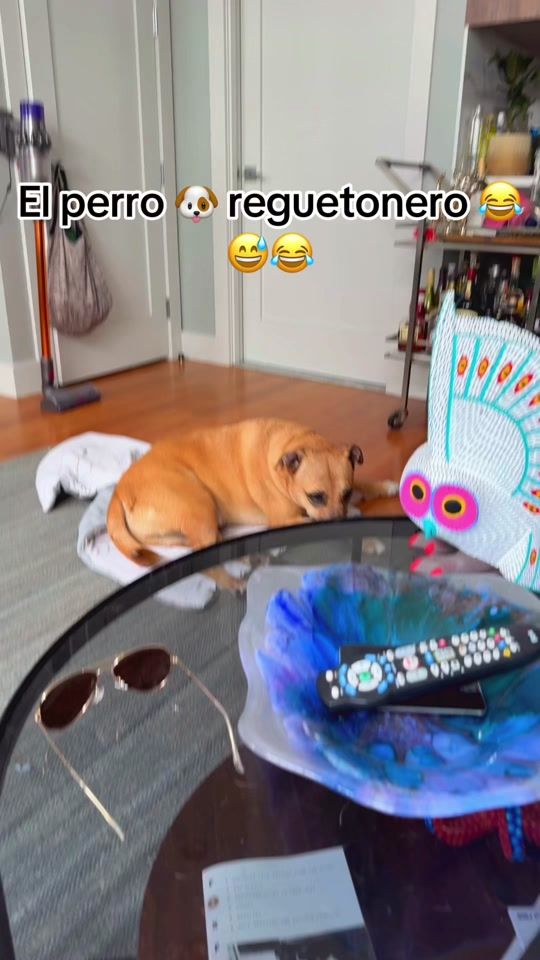 TikTok video thumbnail by alexisanchez_07