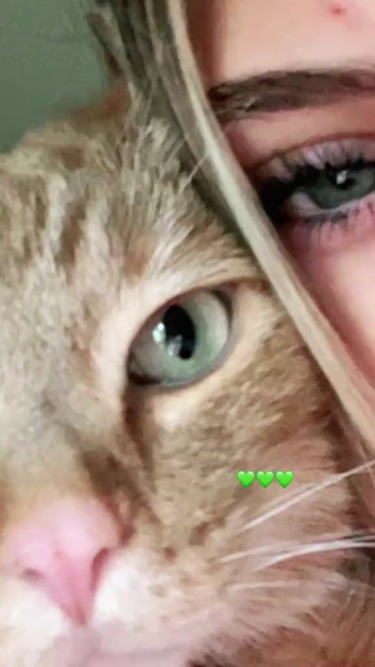 TikTok video thumbnail by secret_tiktok.goofy