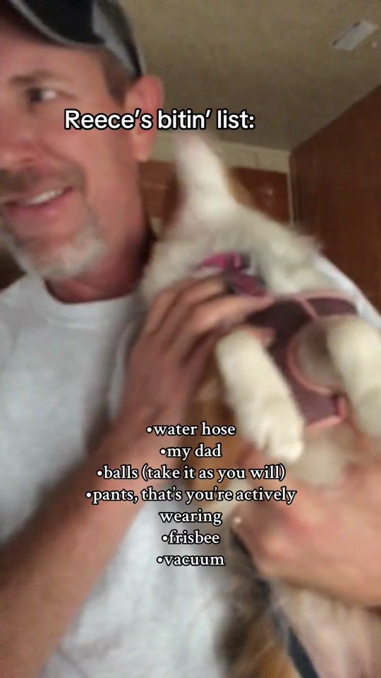 TikTok video thumbnail by kristamercer