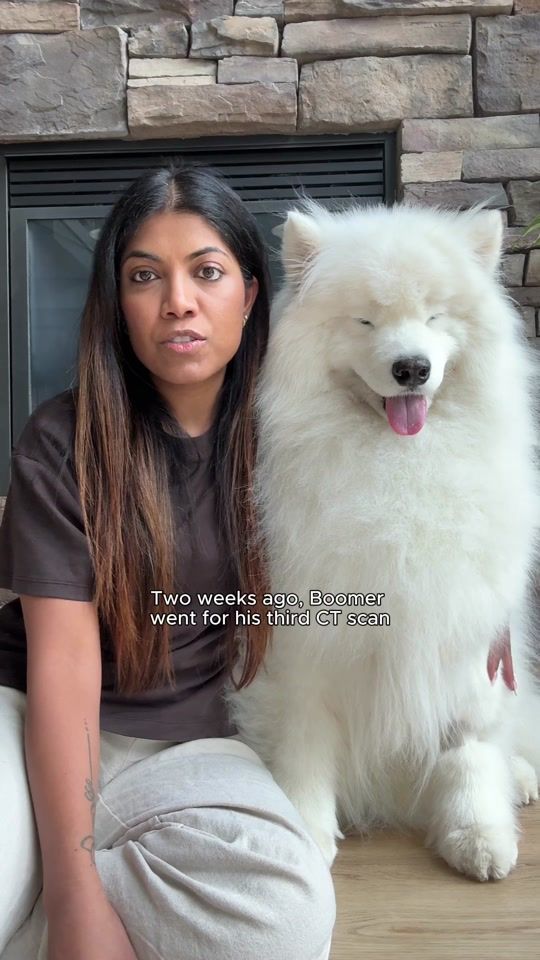 TikTok video thumbnail by life.with.a.landcloud