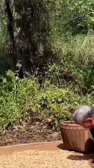 TikTok video thumbnail by trangly_offical