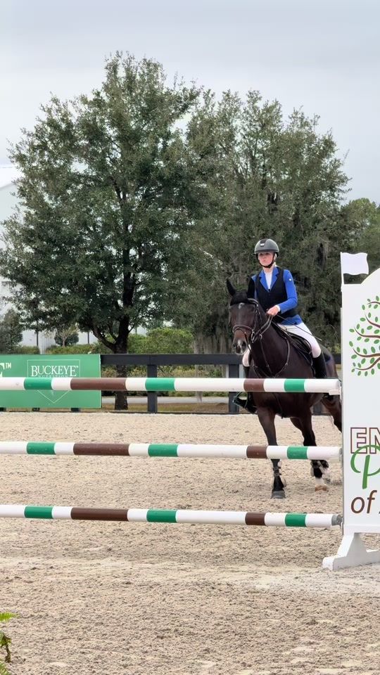 TikTok video thumbnail by mm.showjumping