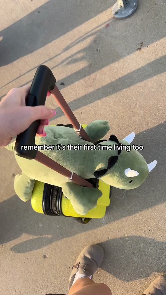 TikTok video thumbnail by jevinshreve