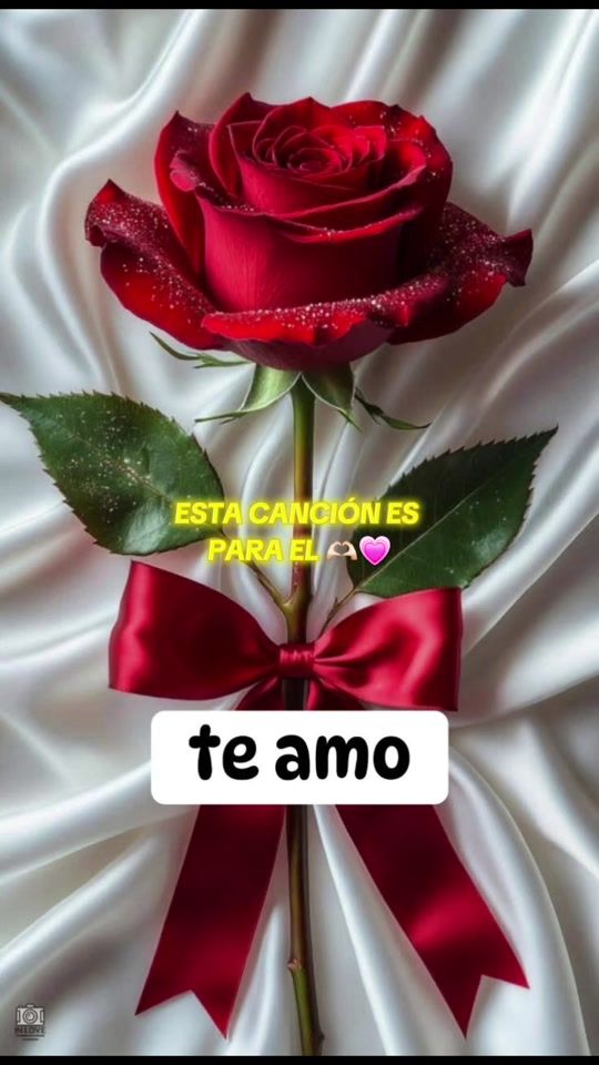 TikTok video thumbnail by fernanda.11052009