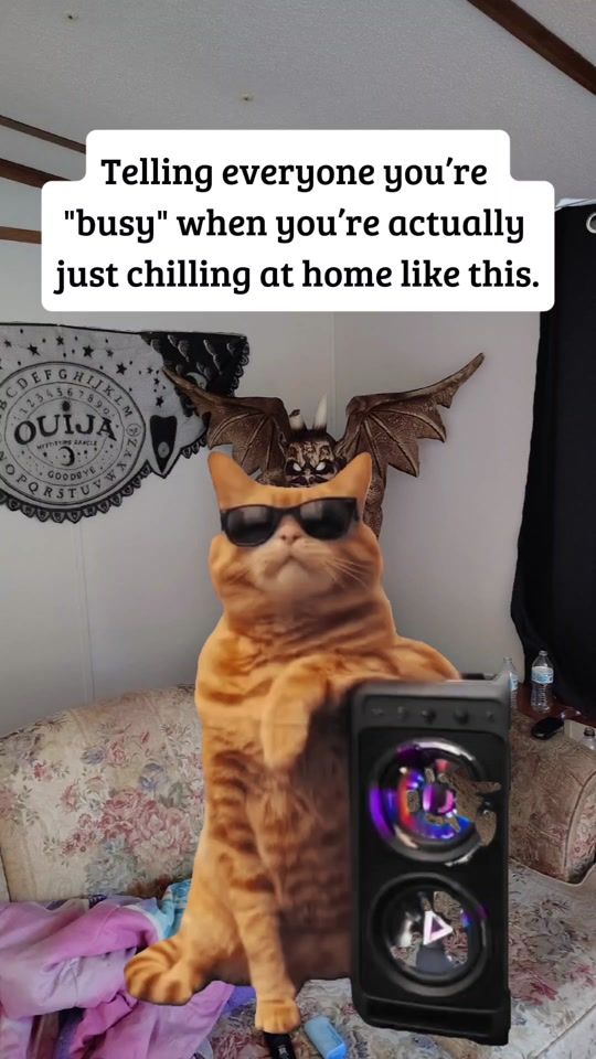 TikTok video thumbnail by joshingaround80
