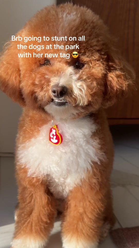 TikTok video thumbnail by questionmarcus