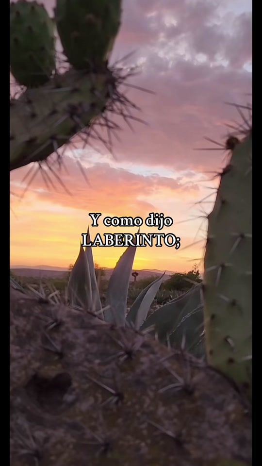 TikTok video thumbnail by solycilencio