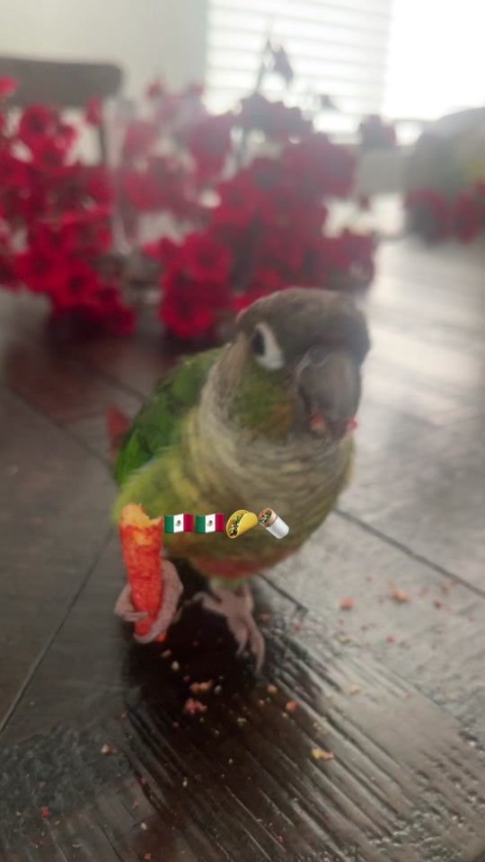 TikTok video thumbnail by ___neveen