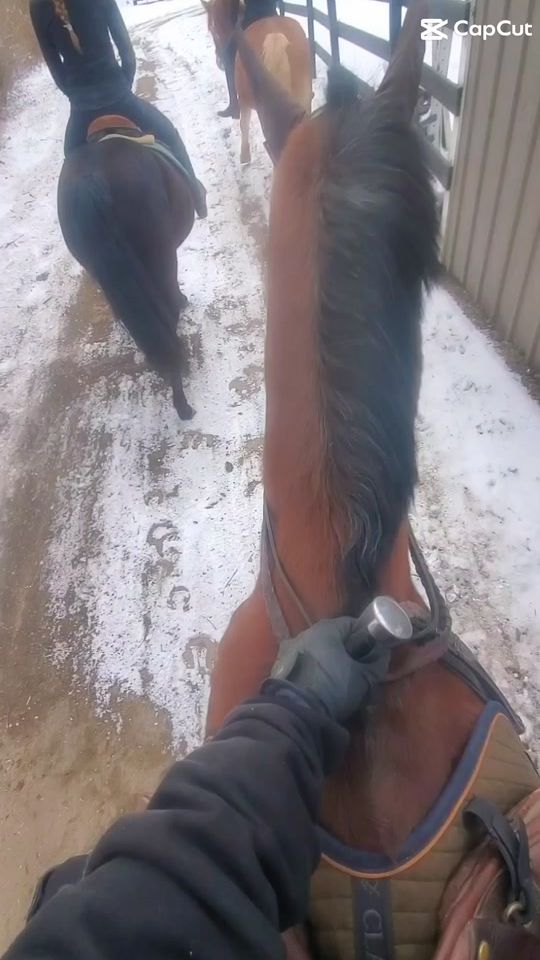TikTok video thumbnail by pen_eq_