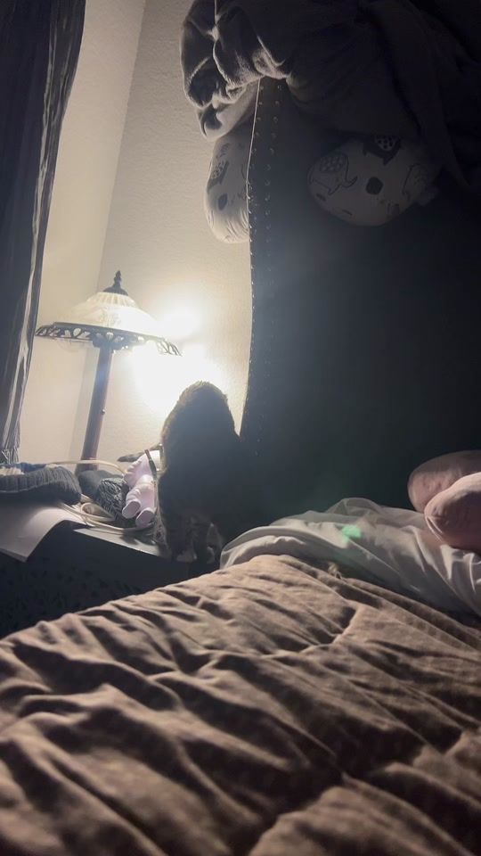 TikTok video thumbnail by katschaoticdad