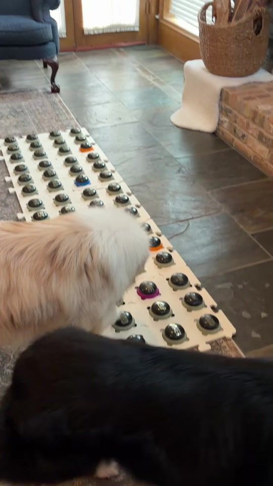 TikTok video thumbnail by flambothedog