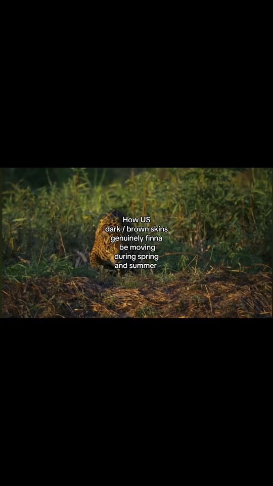 TikTok video thumbnail by goldenmiro