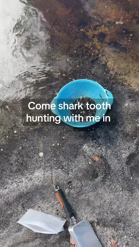TikTok video thumbnail by kelsxsea