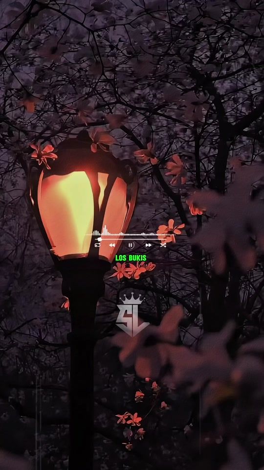 TikTok video thumbnail by santi_love_5