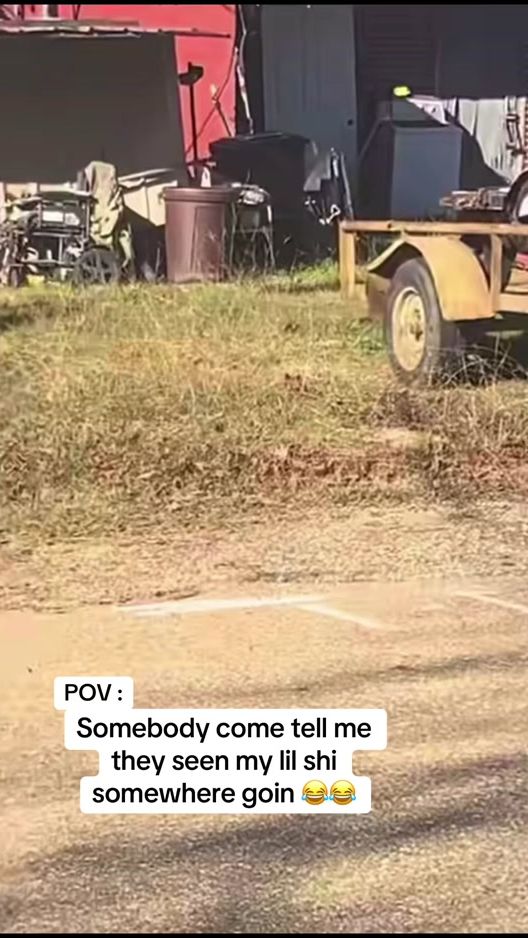 TikTok video thumbnail by blaccfromdahills1