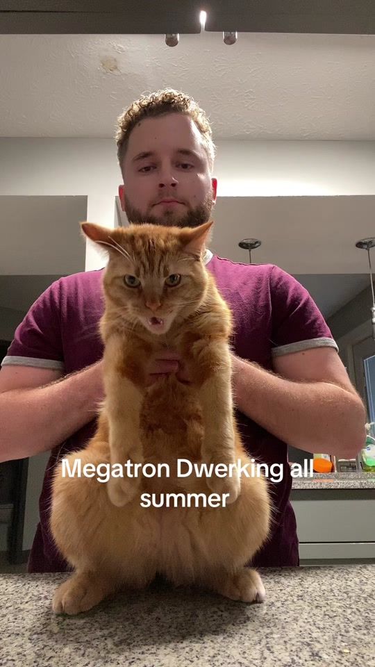 TikTok video thumbnail by kyle.christie