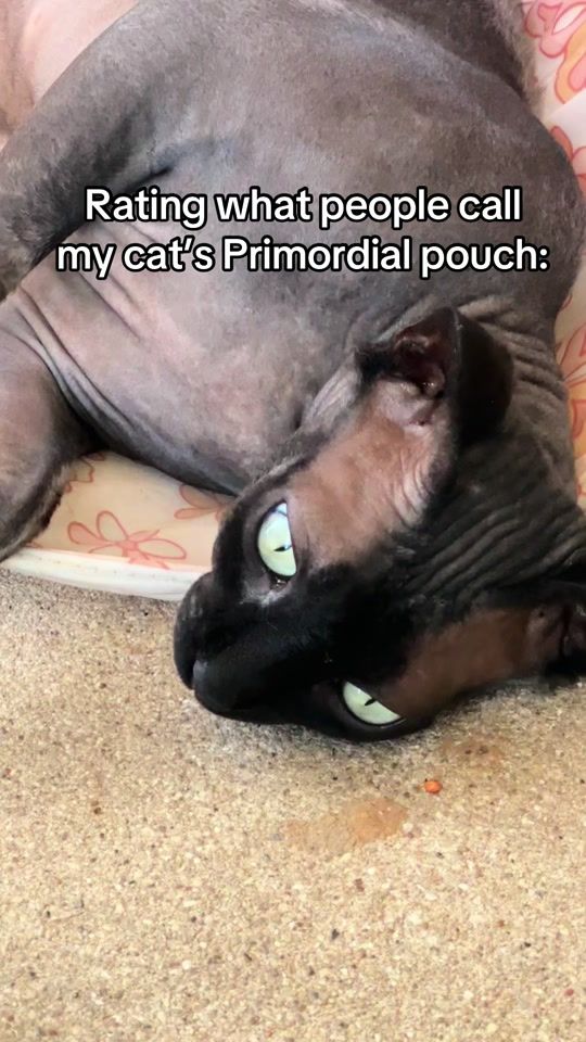 TikTok video thumbnail by novas_nebula