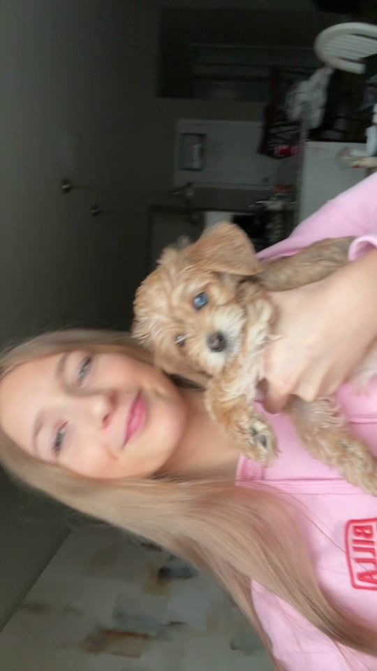TikTok video thumbnail by keirablakelywhite